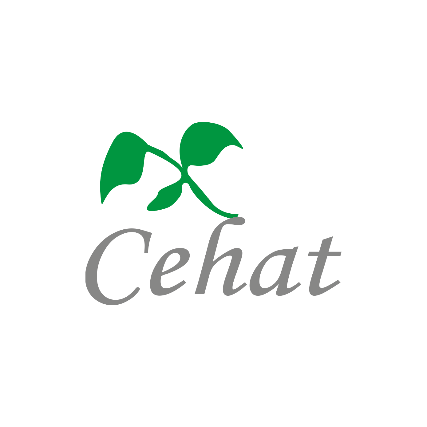 1994 CEHAT was Setup